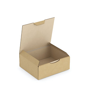 Boîte carton brune d'expédition RAJAPOST 14,5x13x5,5 cm