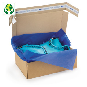 Boîte carton brune simple cannelure avec fermeture adhésive Boîte carton brune simple cannelure avec fermeture adhésive