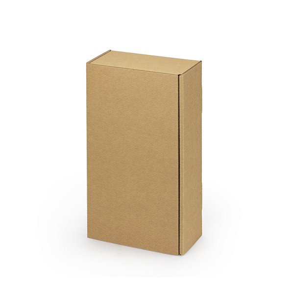 Boite micro-cannelure brune pour 2 bouteilles 20 x 10 x 37 cm - 2