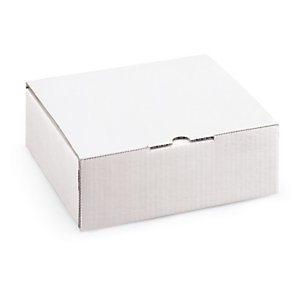 Boîte postale carton blanche avec calage mousse RAJA 24x18x5 cm