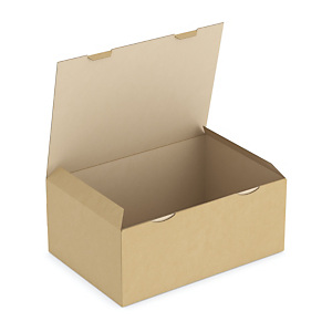 Boîte postale carton brune simple cannelure RAJAPOST format A3 Boîte postale carton brune simple cannelure RAJAPOST format A3