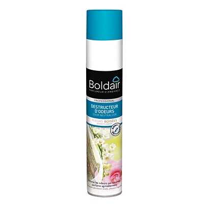 Boldair Destructeur d'odeurs parfum Fleurs boisées - 500 ml