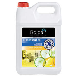 BOLDAIR Désinfectant nettoyant surodorant Boldair jardin d'agrumes 5 L