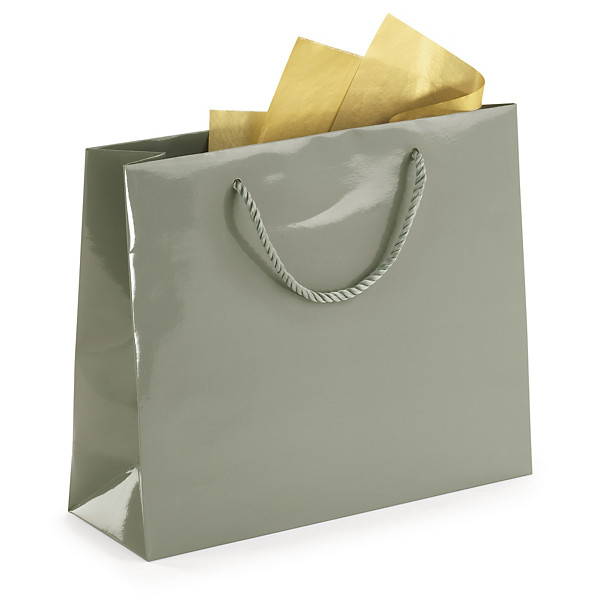 Bolsa charol gris asas cordón 55x45x15cm - 1