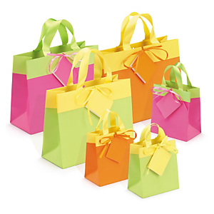 Bolsa de papel charol mate bicolor Bolsa de papel charol mate bicolor