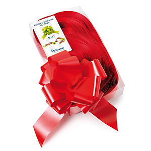 BRIZZOLARI Nastri strip 6800 - in polipropilene - rosso 07 - per fiocco autocomponibile - 50 mm - diametro 20 cm - conf. 30 pezzi BRIZZOLARI Nastri strip 6800 - in polipropilene - rosso 07 - per fiocco autocomponibile - 50 mm - diametro 20 cm - conf. 30 pezzi