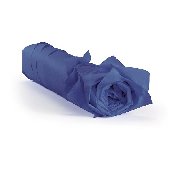 Bunte Packseide RAJA - 2