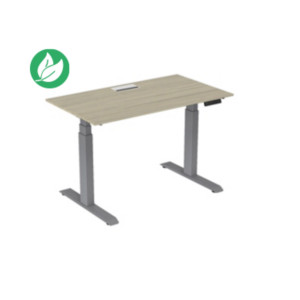 Bureau assis-debout Activ'o - Réglage électrique en hauteur - L.140 x P.80 cm - Plateau Chêne avec top access - Pieds métal Gris Bureau assis-debout Activ'o - Réglage électrique en hauteur - L.140 x P.80 cm - Plateau Chêne avec top access - Pieds métal Gris