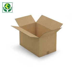 Caisse carton 30x20x17 cm Caisse carton 30x20x17 cm