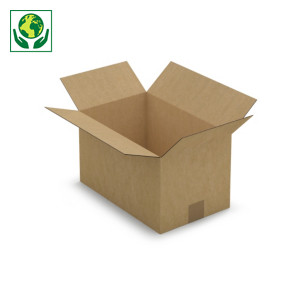 Caisse carton 35x22x20 cm Caisse carton 35x22x20 cm