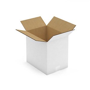 Caisse carton blanche double cannelure RAJA 31x23x30 cm