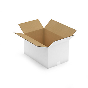 Caisse carton blanche double cannelure RAJA 55x35x30 cm