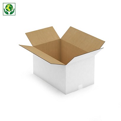 Caisse carton blanche double cannelure RAJA 55x35x30 cm - 1