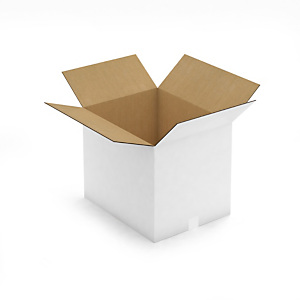 Caisse carton blanche double cannelure RAJABOX 48,5x38,5x40 cm Caisse carton blanche double cannelure RAJABOX 48,5x38,5x40 cm
