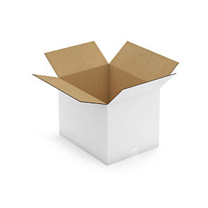 Caisse carton blanche pour plateaux repas 46x36x35 cm