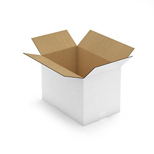 Caisse carton blanche pour plateaux repas 48x31x33 cm