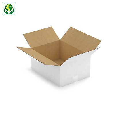 Caisse carton blanche RAJA, simple cannelure, 400 x 300 x 180 mm - 1