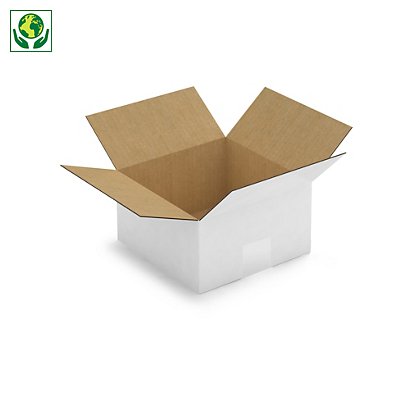 Caisse carton blanche simple cannelure RAJA 20x20x11 cm - 1