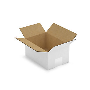 Caisse carton blanche simple cannelure RAJA 21,5x15x10,5 cm