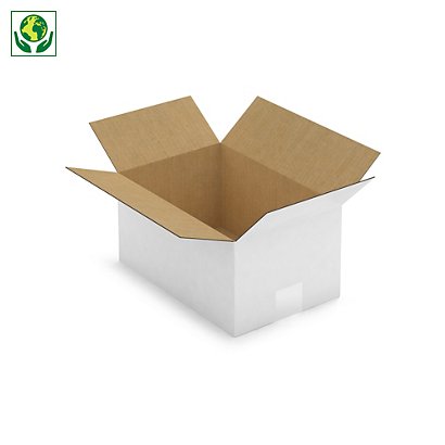 Caisse carton blanche simple cannelure RAJA 30x20x15 cm - 1