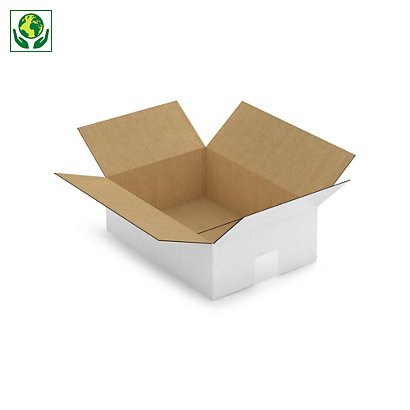 Caisse carton blanche simple cannelure RAJA 31x22x10 cm - 1