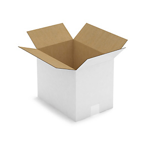 Caisse carton blanche simple cannelure RAJA 31x22x25 cm