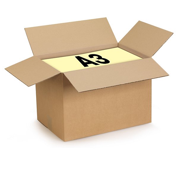 Caisse carton brune/blanche simple cannelure RAJA formats A3/A3+ - 2