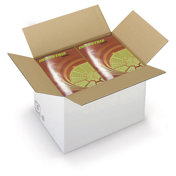 Caisse carton brune/blanche simple cannelure RAJA formats A3/A3+ - 1