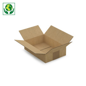 Caisse carton brune et blanche simple cannelure RAJA longueur 21 à 29,5 cm  - Best Price