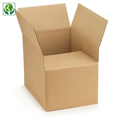 Caisse carton brune et blanche simple cannelure RAJA longueur 30 à 34,5 cm - 1