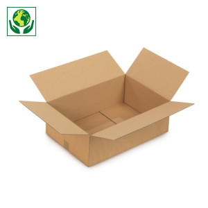 Caisse carton brune et blanche simple cannelure RAJA longueur 50 à 55 cm