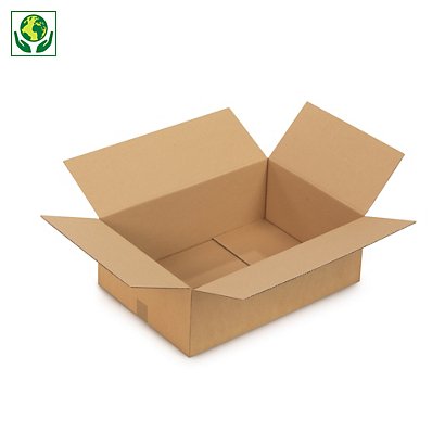 Caisse carton brune et blanche simple cannelure RAJA longueur 50 à 55 cm - 1