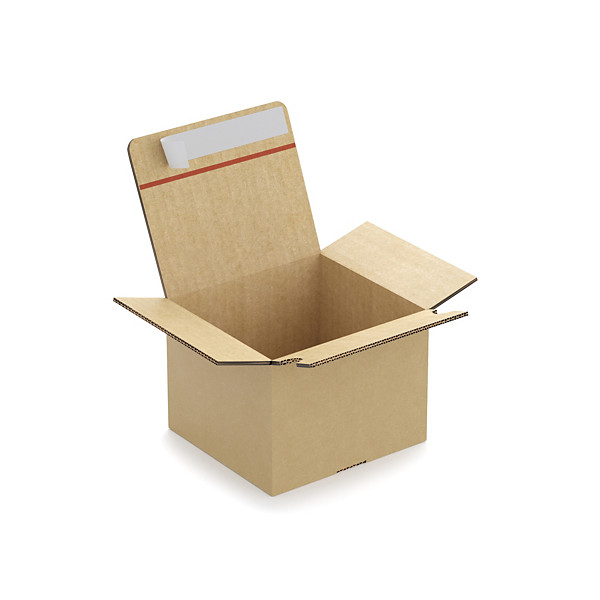 Caisse carton brune double cannelure montage instantané fermeture adhésive RAJA 29x19x18 cm - 1