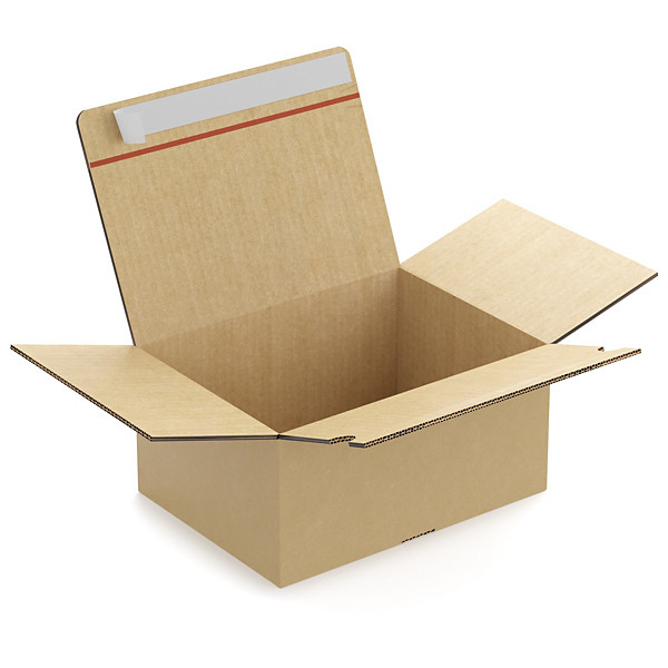 Caisse carton brune double cannelure montage instantané fermeture adhésive RAJA 31x23x15 cm - 1