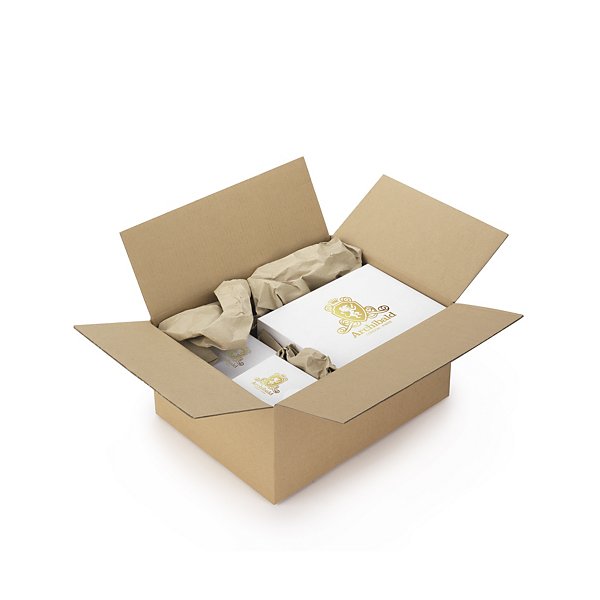 Caisse carton brune double cannelure à montage instantané RAJA 31x22x25 cm - 4