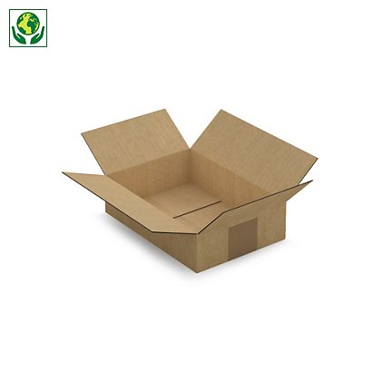 Caisse carton brune RAJA, simple cannelure, 215 x 150 x 55 mm - 1