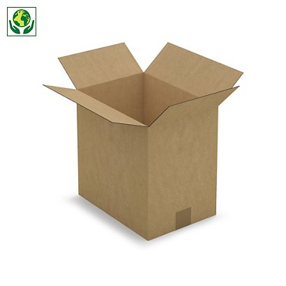 Caisse carton brune RAJA, simple cannelure, 310 x 220 x 300 mm - 1