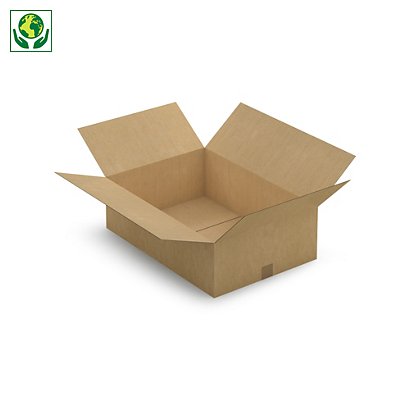 Caisse carton brune RAJA, simple cannelure, 650 x 450 x 200 mm - 1