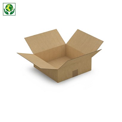Caisse carton brune simple cannelure à base carrée RAJA 30x30x10 cm - 1