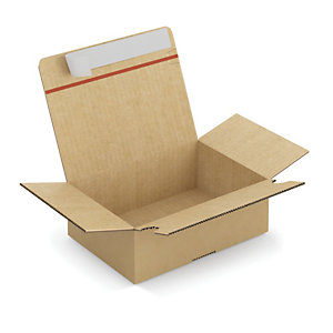 Caisse carton brune simple cannelure montage instantané fermeture adhésive 21,5x15,5x11 cm, lot de 20