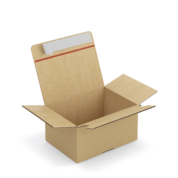 Caisse carton brune simple cannelure montage instantané fermeture adhésive RAJA 21,5x15,5x11 cm - 1