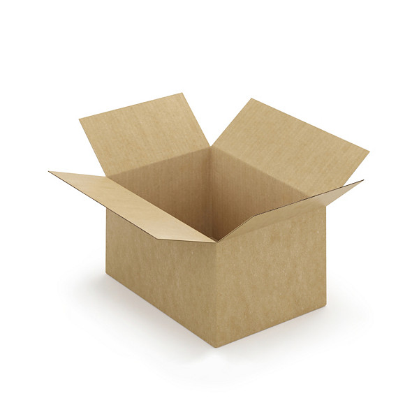 Caisse carton brune simple cannelure à montage instantané RAJA 35x25x20 cm - 1