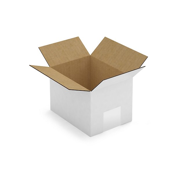 Caisse carton brune simple cannelure RAJA 16x12x11 cm - 2