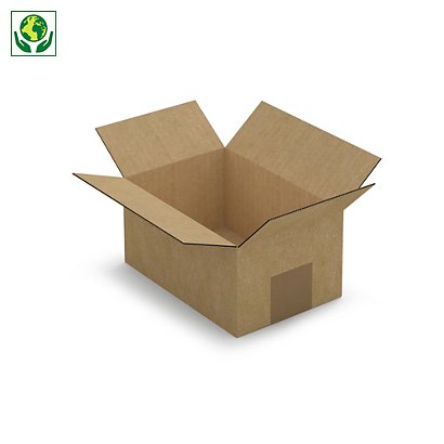 Caisse carton brune simple cannelure RAJA 18,5x12,5x9 cm - 1
