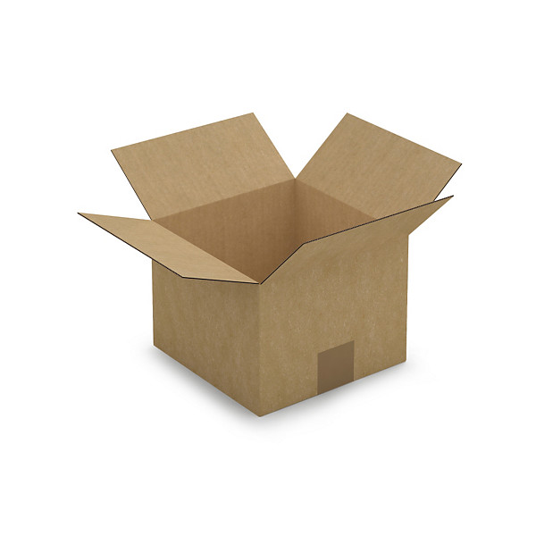 Caisse carton brune simple cannelure RAJA 20x20x15 cm - 1