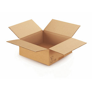 Caisse carton brune simple cannelure RAJA 25x25x10 cm