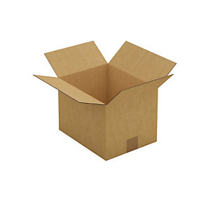 Caisse carton brune simple cannelure RAJA 28x22x20 cm