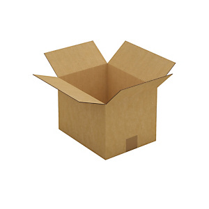 Caisse carton brune simple cannelure RAJA 28x22x20 cm Caisse carton brune simple cannelure RAJA 28x22x20 cm