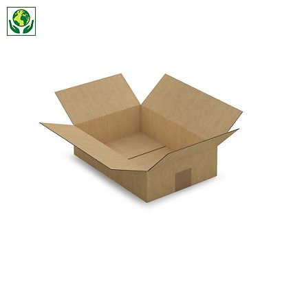 Caisse carton brune simple cannelure RAJA 31x21,5x8 cm - 1