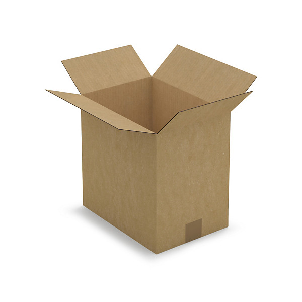 Caisse carton brune simple cannelure RAJA 31x22x30 cm - 1
